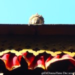 2014.12.15 Bhaktapur 37 Mahalakshmi Temple god peek ResizeBy Donna Yates CC BY-NC-SA