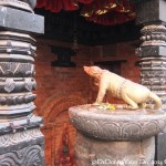 2014.12.15 Bhaktapur 43 Citywalk Templedog ResizeBy Donna Yates CC BY-NC-SA