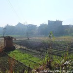 2014.12.15 Bhaktapur 66 Citwalk south of river scene ResizeBy Donna Yates CC BY-NC-SA