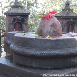 2014.12.15 Bhaktapur 29 Mahaklai Temple Shivalingam poinsetta ResizeBy Donna Yates CC BY-NC-SA
